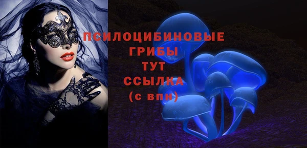 эйфоретик Балахна